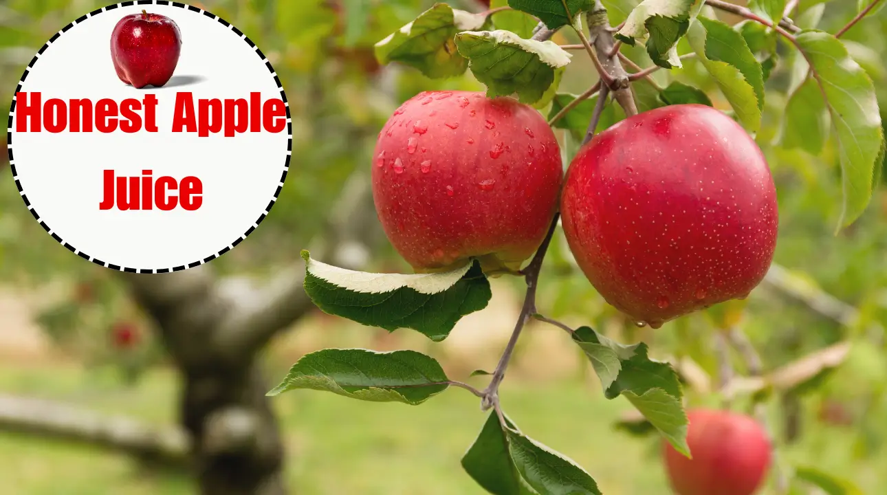 Honest Apple Juice
